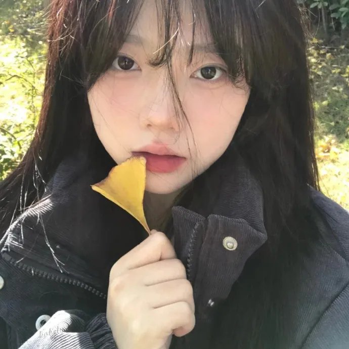 青春之旅
